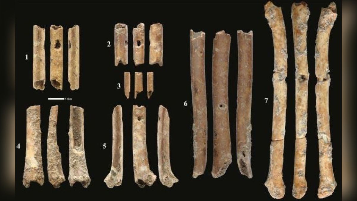 Descubrimientos de arqueológicos; Flautas prehistóricas de más de 12 mil años. post thumbnail image
