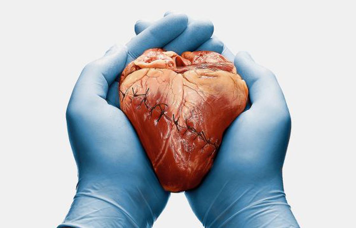 ¿Sabias que? sí te puedes morir de amor post thumbnail image