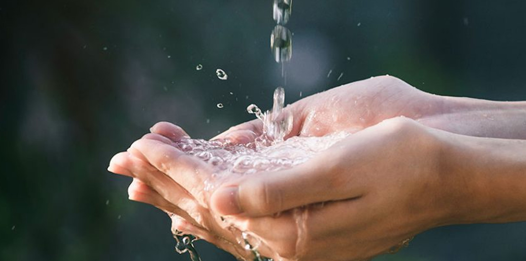 Hoy es el Día Mundial del Agua ¿Cuál es su origen y porqué debería importarnos? post thumbnail image