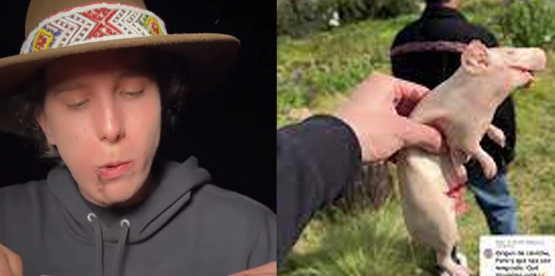 Influencer Robegrill recibe duras críticas por cocinar y comer cuyo (Video) post thumbnail image