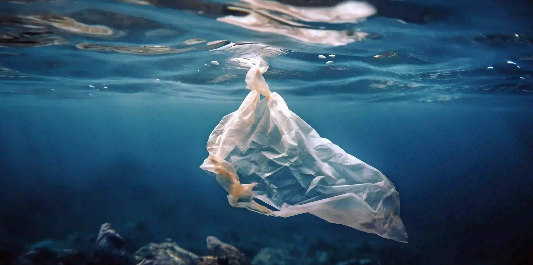 Día Internacional Libre de Bolsas de Plástico post thumbnail image