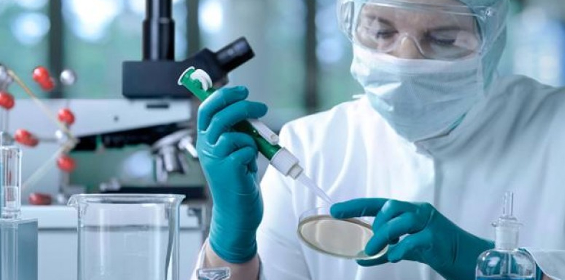 Día Mundial de Investigación contra el Cáncer: Un Llamado a la Acción para Erradicar la Enfermedad post thumbnail image