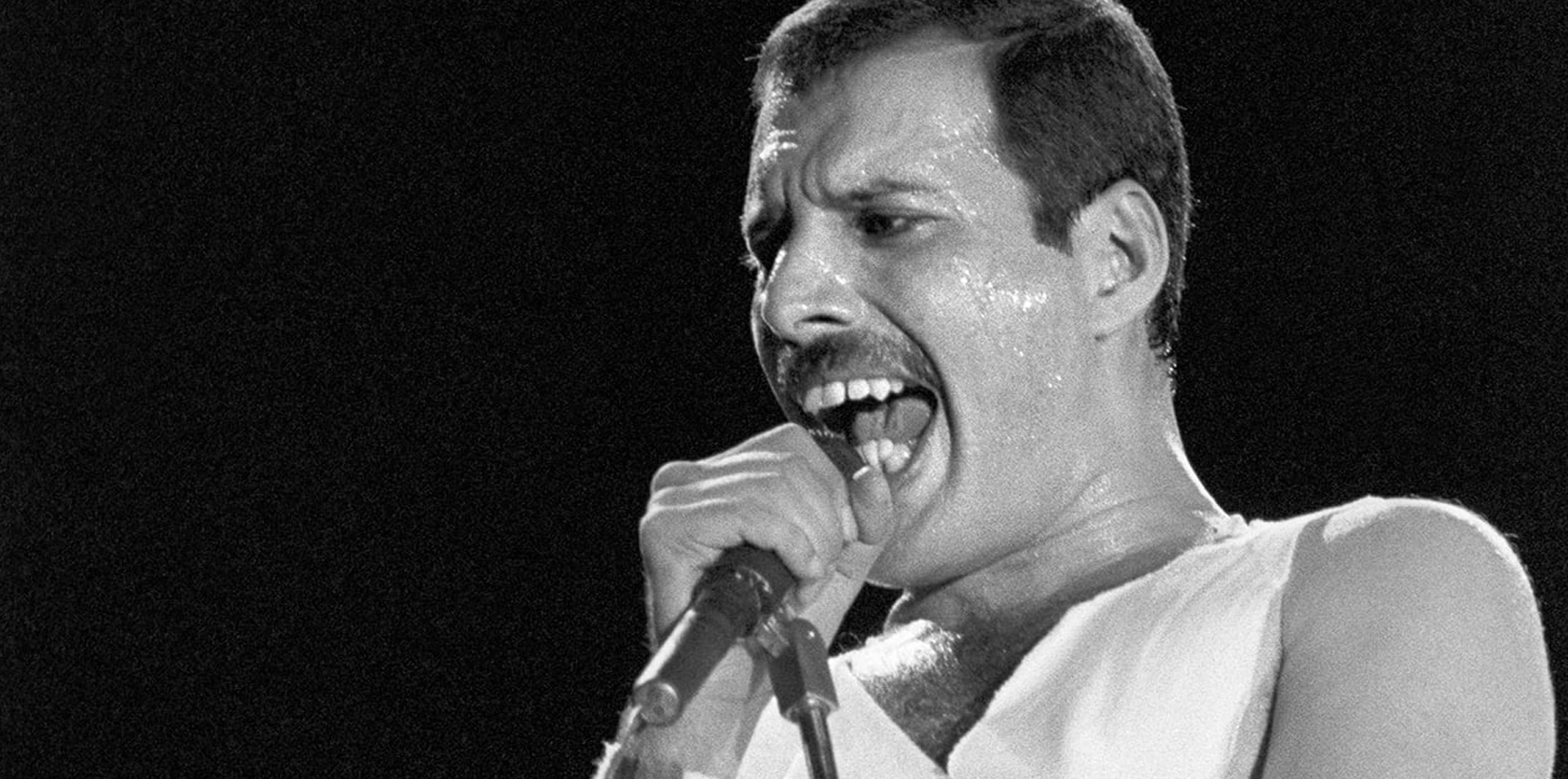 Freddie Mercury: Celebrando su legado en lo que habría sido su 78º cumpleaños post thumbnail image