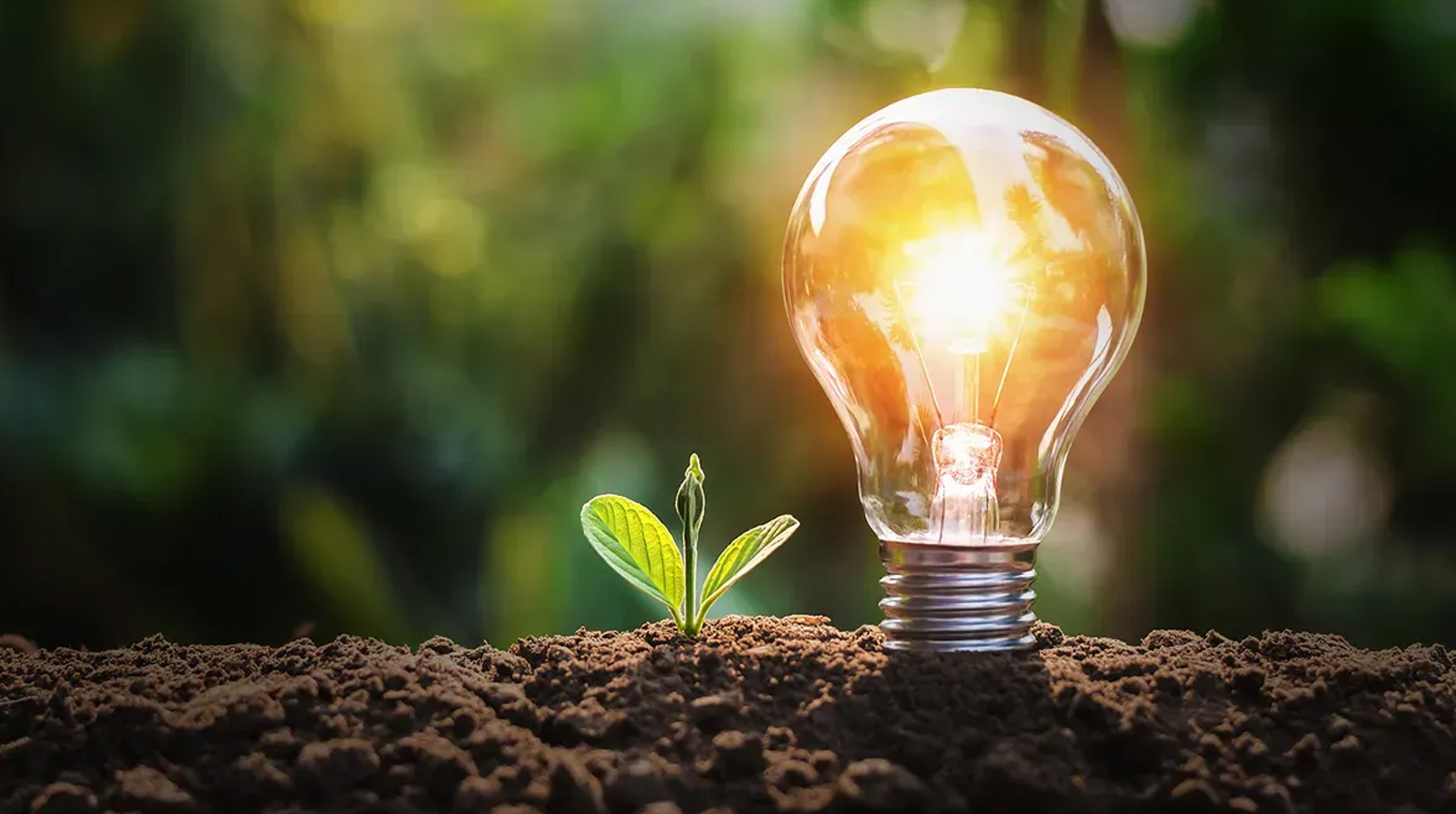 Día Mundial del Ahorro de Energía: Un Compromiso con el Futuro del Planeta post thumbnail image