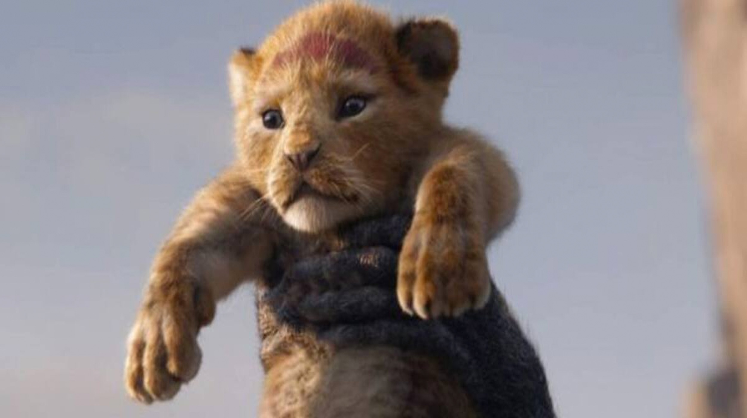 Disney prepara nueva película basada en El Rey León: ¿otro éxito asegurado? post thumbnail image