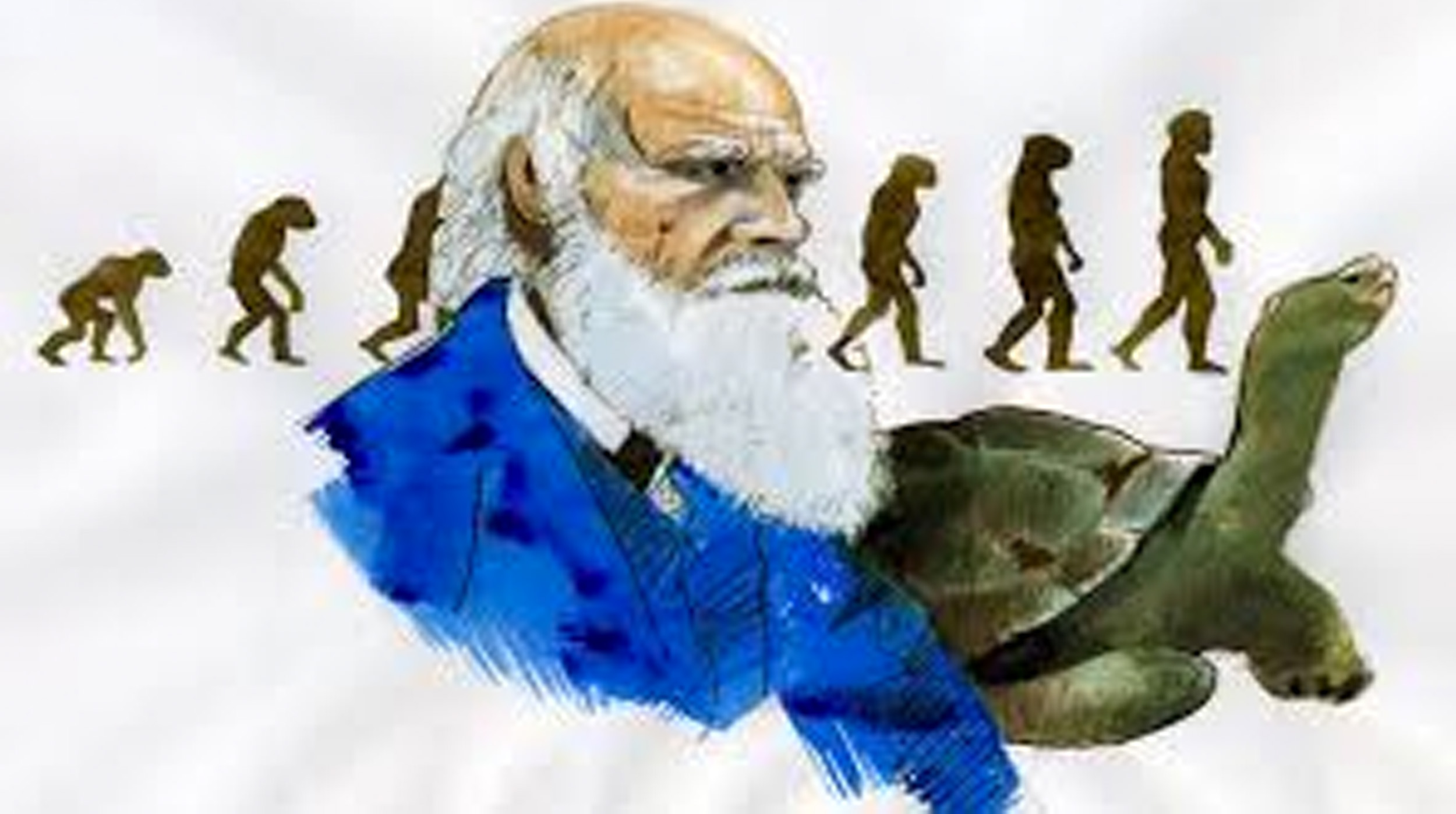 Datos curiosos que te sorprenderán de Charles Darwin post thumbnail image