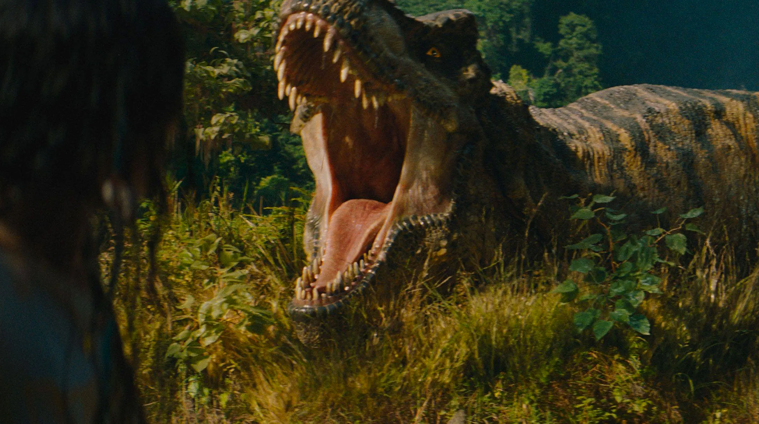 Jurassic World Rebirth’: El terror renace con nuevos dinosaurios y un enfoque oscuro 🎬 post thumbnail image
