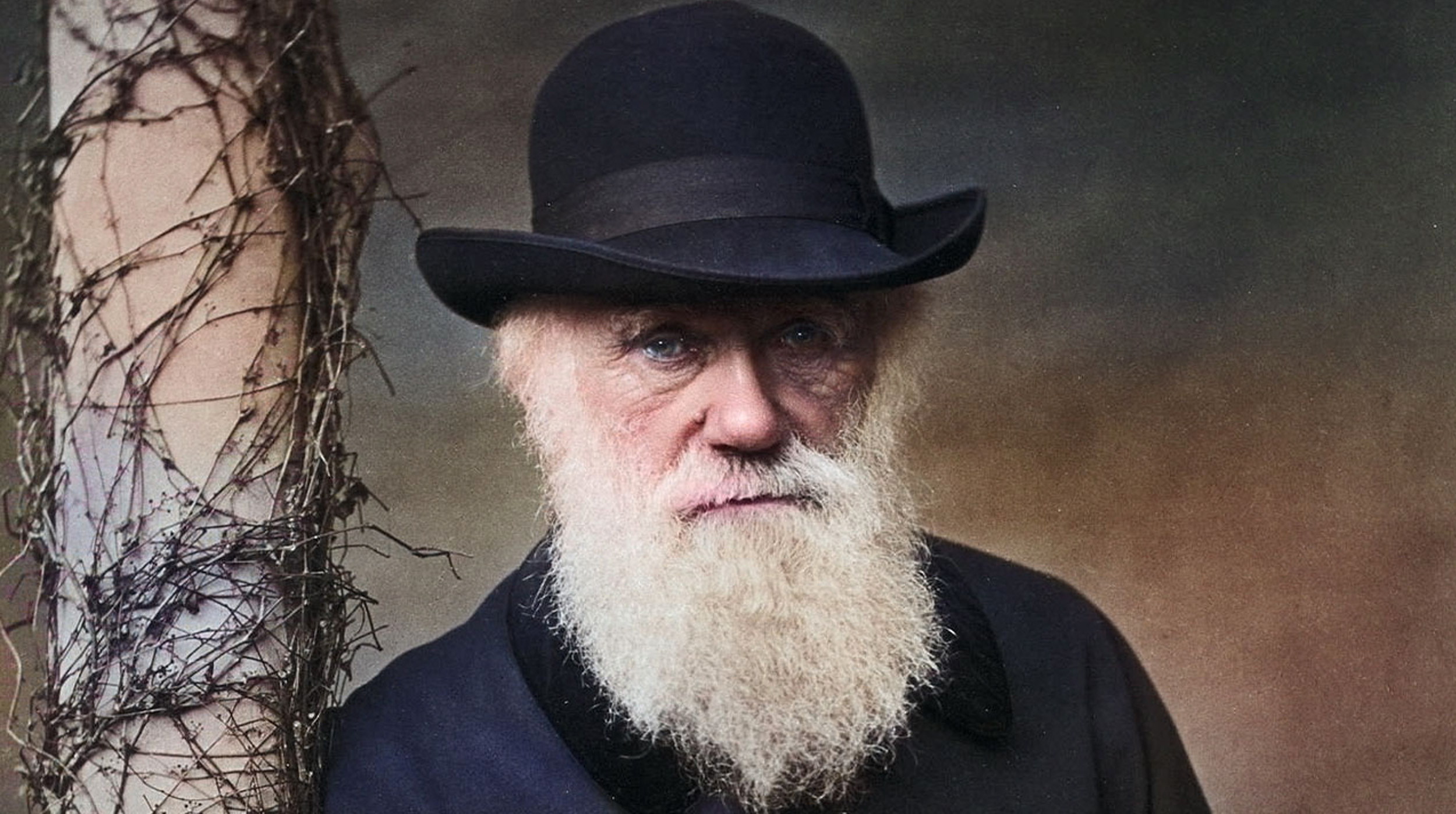 El Día de Darwin: Celebrando al padre de la evolución post thumbnail image