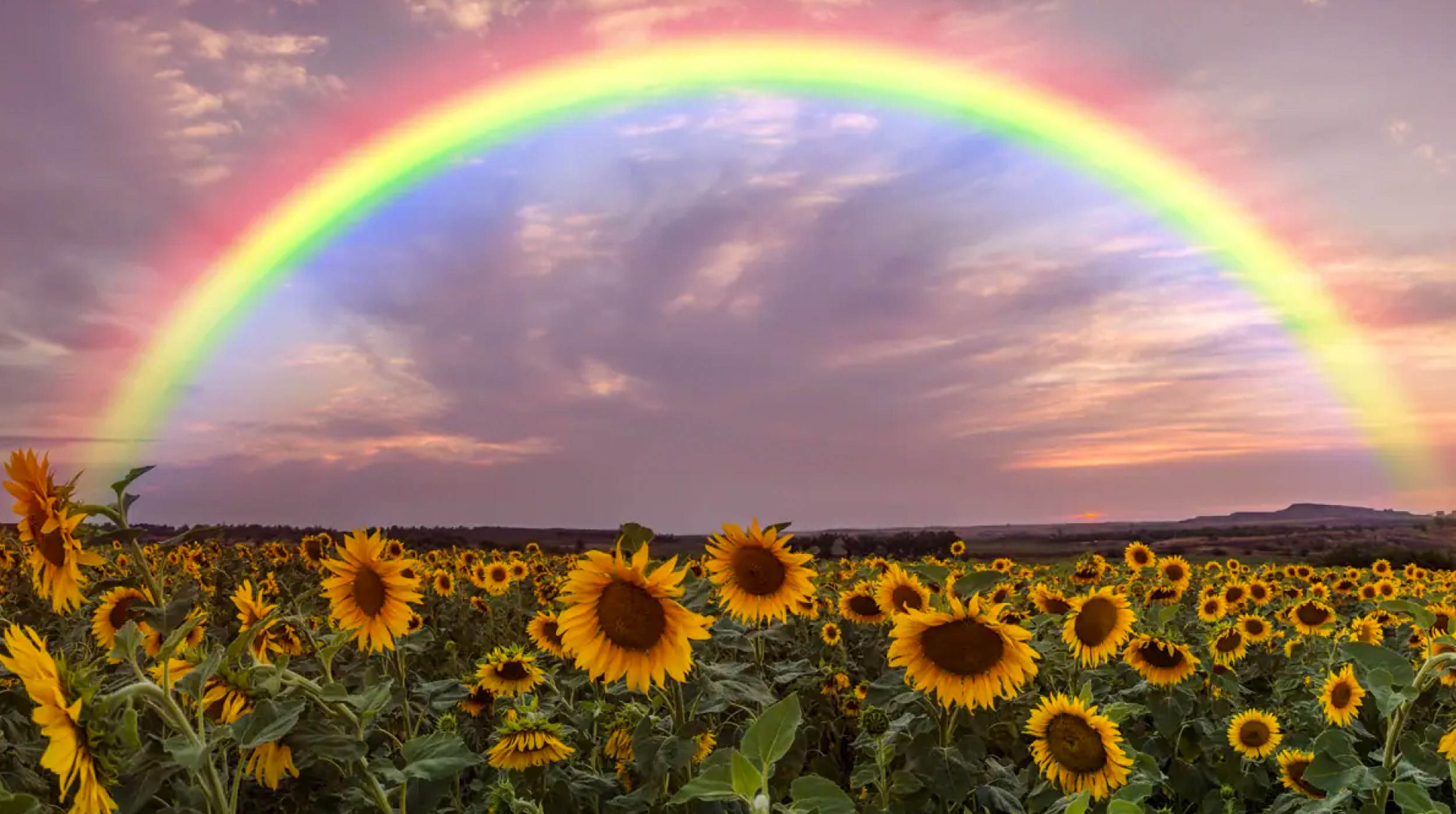Día Mundial del Arcoíris: Un Espectáculo Natural que Despierta la Imaginación post thumbnail image