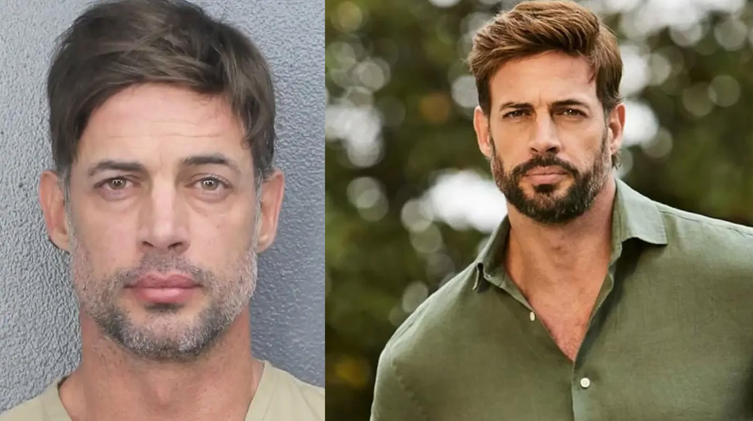 El crush de tu mamá, William Levy, fue arrestado post thumbnail image