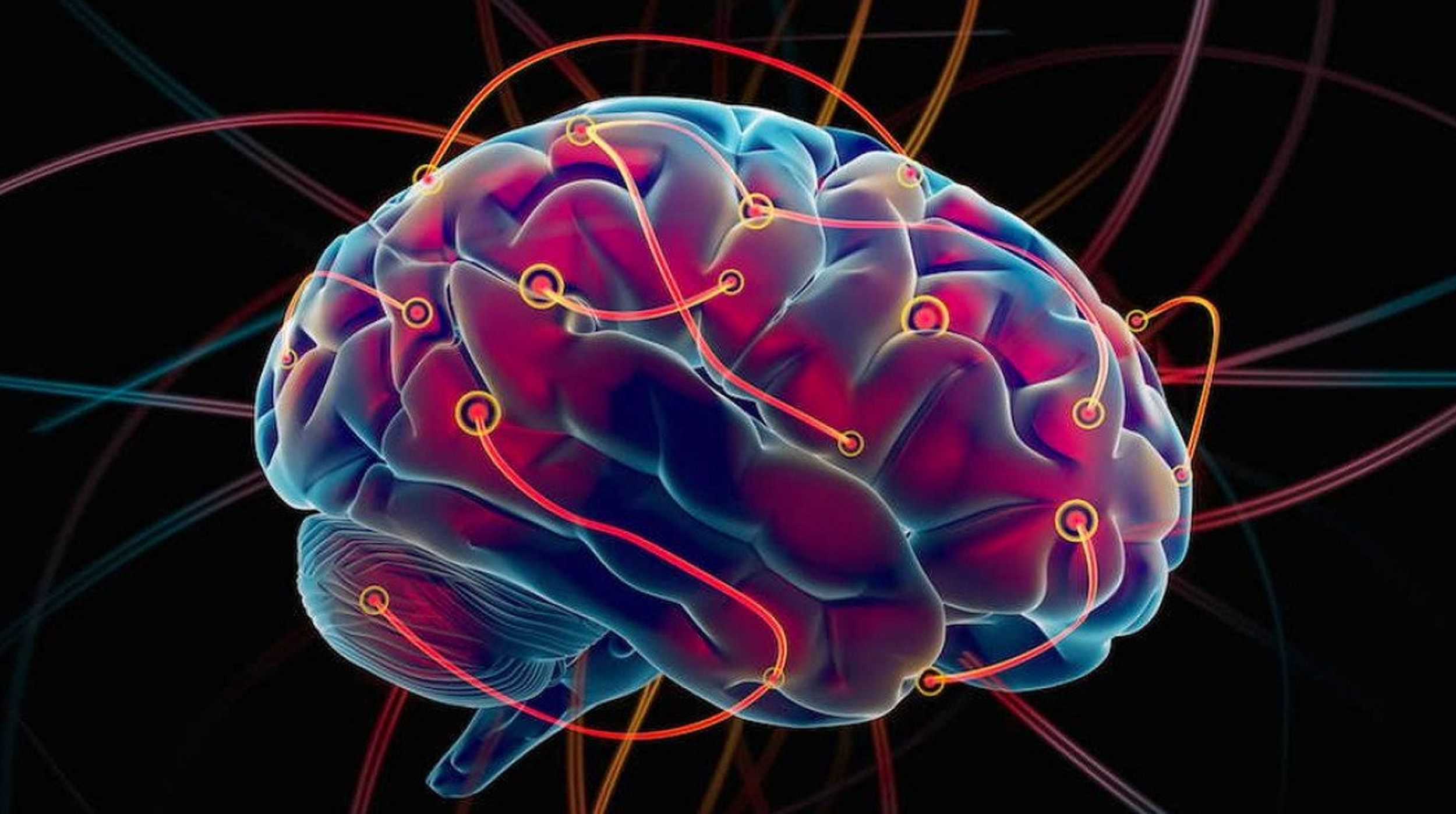 La asombrosa energía del cerebro humano: una central eléctrica en miniatura post thumbnail image