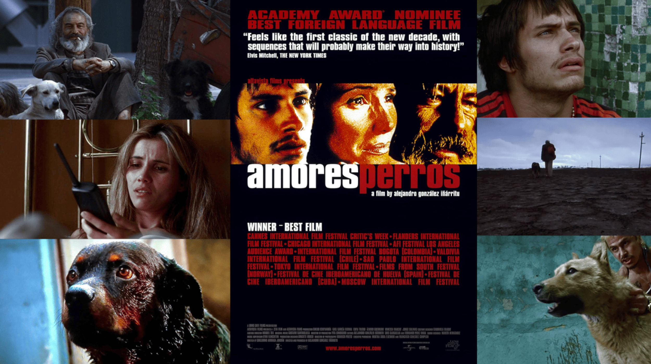 Iñárritu transforma el pasado en arte con “Sueño Perro” su homenaje al cine y a la Ciudad de México post thumbnail image