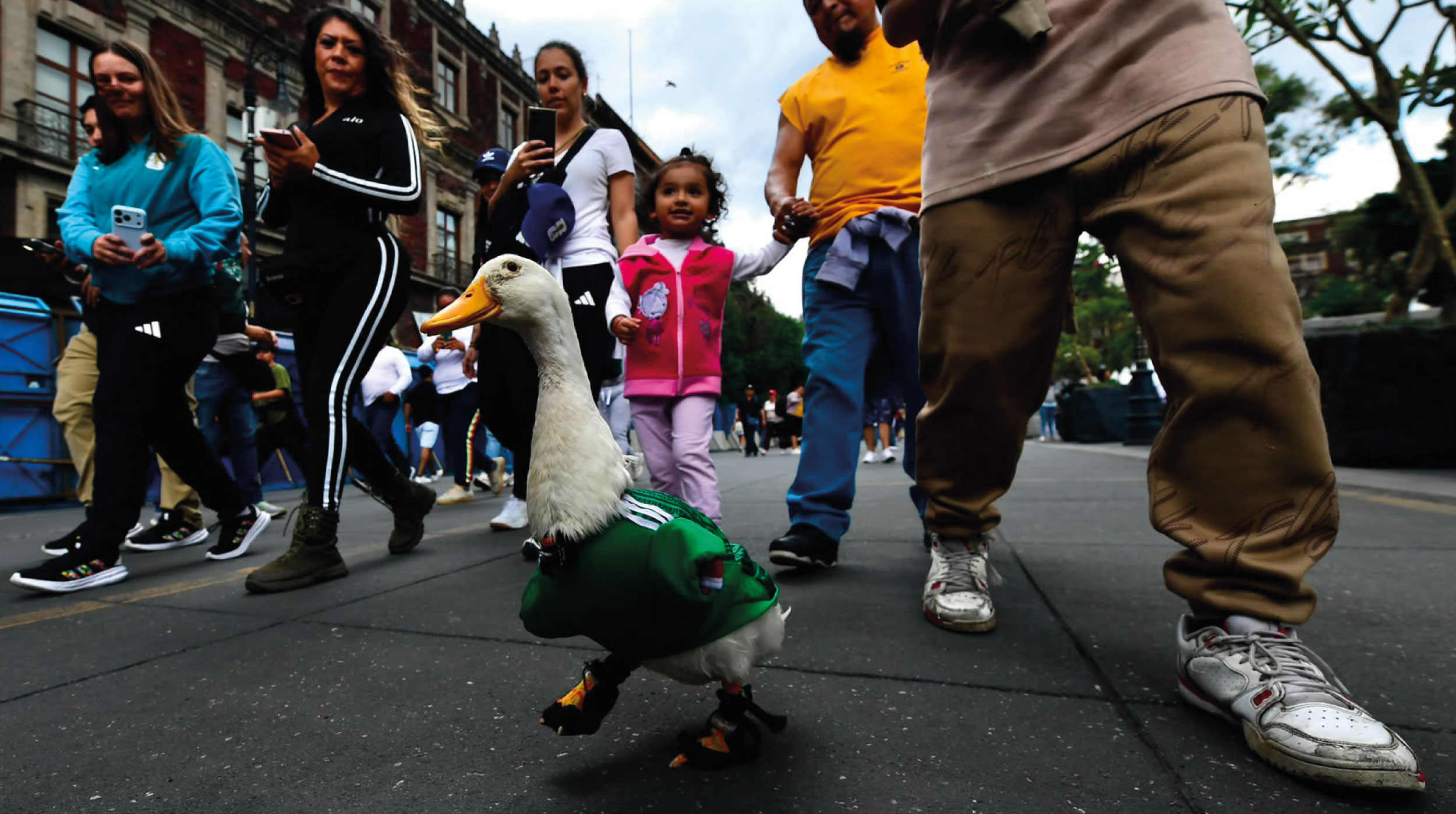 La FIFA cita a los dueños del pato ‘Merlín’, el fenómeno viral del Mundial 2026 post thumbnail image
